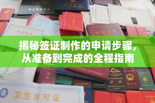 景洪揭秘签证制作的申请步骤，从准备到完成的全程指南